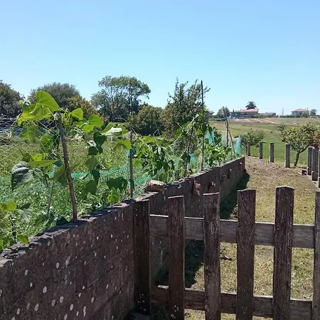 Casa vacanze El Angazu